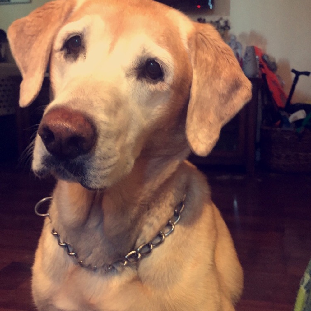 Meet your Posher, Lily Mayy